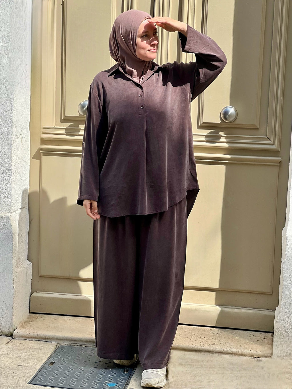 Ensemble MODEST marron