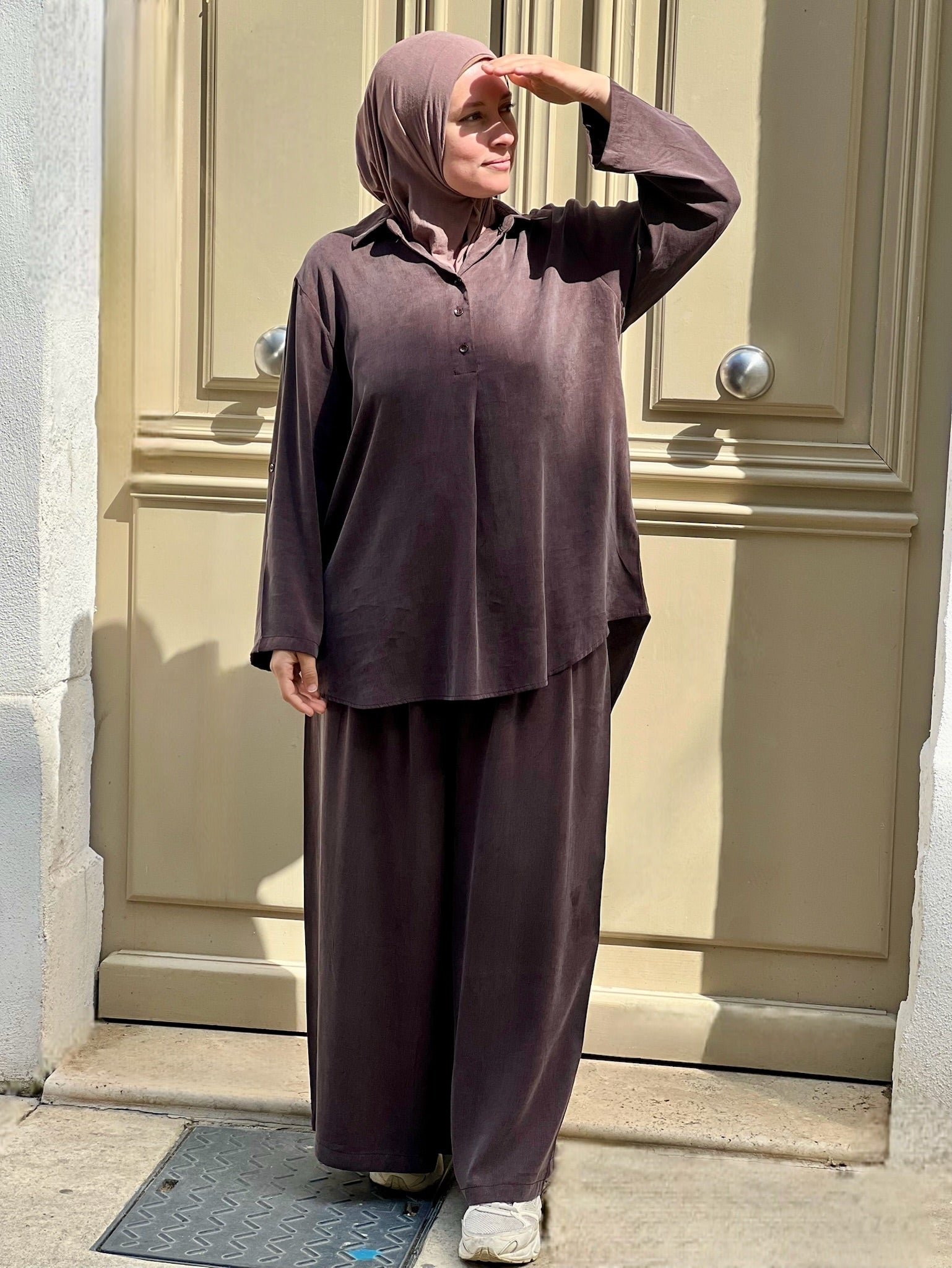 Ensemble MODEST marron